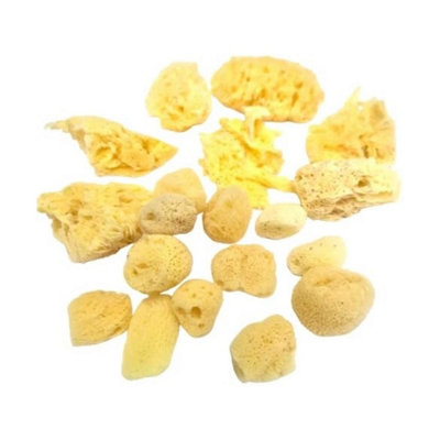 Jakar Natural Sea SpongesPack Of 20 Assorted Sizes For Artists & CraftersIdeal For PaintingPottery & Creative Effects from B&Q