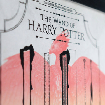 Harry Potter Limited Edition Fan-Cel from B&Q