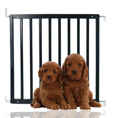 Bettacare Simply Secure Wooden Screw Fit Gate72Cm79CmBlackWooden Dog Gate GateScrew Fit Pet Stair GatePuppy Gate from B&Q