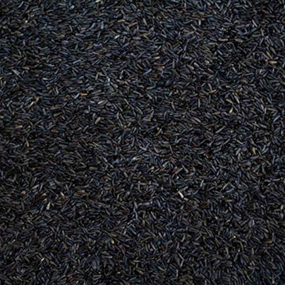 Trusty Pet Supplies Wild Bird Nyjer Seed 10Kg from B&Q