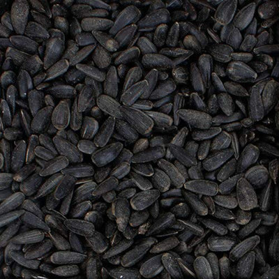 Trusty Pet Supplies Wild Bird Black Sunflower Seeds 10Kg from B&Q