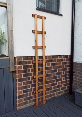 Charles Taylor Trading Charles Taylor Small 1Ft Trellis from B&Q