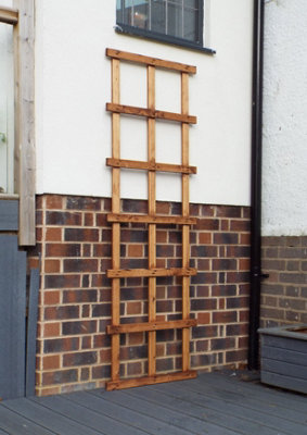 Charles Taylor Trading Charles Taylor Medium 2Ft Trellis from B&Q