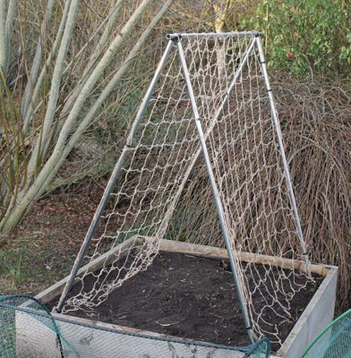 Gardening Naturally Mini Pea And Bean Frame For Climbing Plants from B&Q