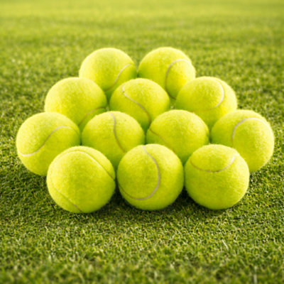 SuperGift.com 12 Pcs Tennis Balls With Mesh Carrying BagPressureless Tennis Balls Practice Balls Playing With Pets Sports Cricket from B&Q