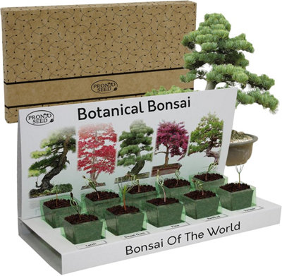 Pronto Seed Grow Your Own Bonsai Tree Kit5 Bonsai Seed VarietiesGardening Gifts For Men And Women from B&Q