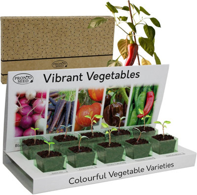 Pronto Seed Grow Your Own Vegetable Seed Kit - 5 Varieties - A Brilliant Gift For Gardeners And Foodies