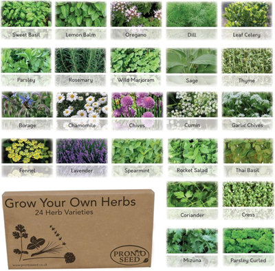 Pronto Seed Herb Bumper Pack24 VarietiesOver 2600 Herb Seeds from B&Q
