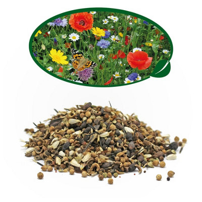 Pronto Seed Pure Wildflower Seed Mix 100GCovers 100M² from B&Q