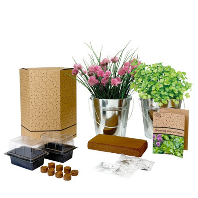 Pronto Seed Grow Your Own Herb KitGalvanised Bucket Duo With 4 Seed Varieties from B&Q