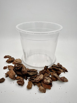  - Orchid Bark In Pot (With PotSaucer And Pine Bark)15Cm