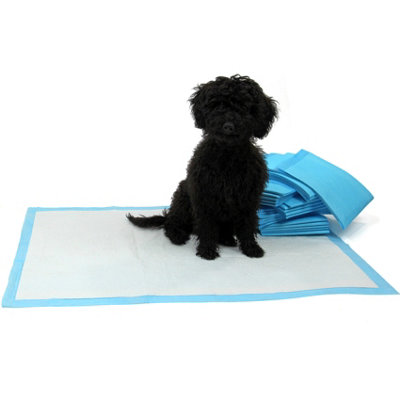 Actiaspet Xl Puppy Toilet Training Pads Super Absorbent from B&Q