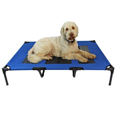 Actiaspet Blue Elevated Mesh Pet Bed Xlarge from B&Q