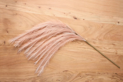 Scottish Everlastings Ltd. Pink Scottish Everlastings Artificial Blush Pampas Stem 128Cm