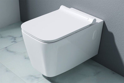 Durovin Bathrooms Ceramic Wall Hung ToiletInclude Wc Pan With Quick Release Soft Close Seat350 X 580 X 370mm (Wxdxh) from B&Q