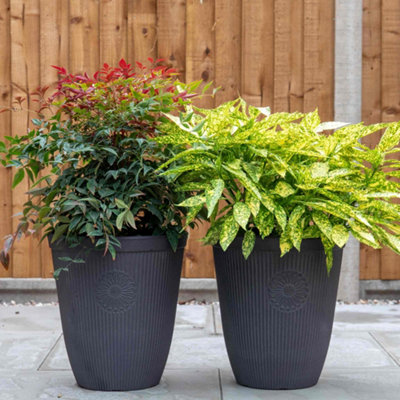 Fargro Home And Garden Premium Planter Somerville Tall 13"Chocolate Slate Effect from B&Q