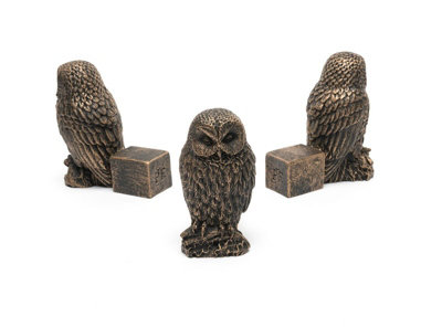 Jardinopia Tawny Owl Plant Pot FeetSet Of 3L8 X W4.5 X H9.5 Cm from B&Q
