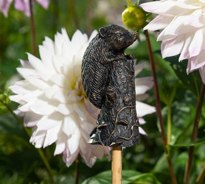 Jardinopia Hedgehog Cane Or Stake Topper Pot BuddyL4.5 X W4 X H8 Cm from B&Q