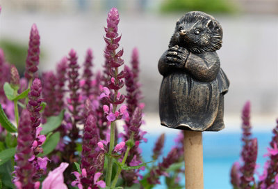 Jardinopia Beatrix Potter Mrs Tiggy-Winkle Cane Or Stake Topper (Ccbp0004)L4 X W4.5 X H8 Cm from B&Q