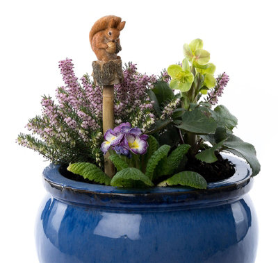 Jardinopia Beatrix Potter Squirrel Nutkin Cane Or Stake Topper (Ccbp0006C)L3.5 X W3.5 X H8.5 Cm from B&Q