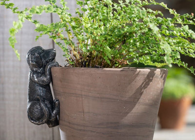 Jardinopia Labrador Plant Pot HangerL5 X W5 X H10 Cm from B&Q