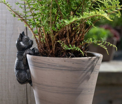 Jardinopia Cat Plant Pot HangerL11.5 X W5 X H5.5 Cm from B&Q
