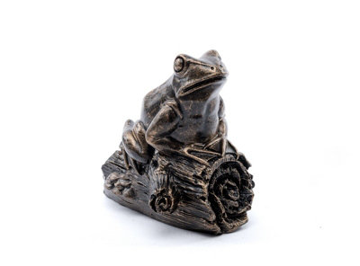 Jardinopia Frog On A Log Plant Drip Feeder Cover & FeedL9 X W5.5 X H8.5 Cm from B&Q