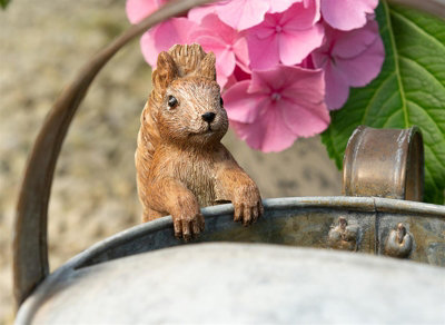 Jardinopia Beatrix Potter Squirrel Nutkin Plant Pot Hanger from B&Q