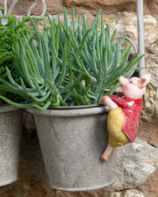 Jardinopia Beatrix Potter Pigling Bland Plant Pot Hanger from B&Q