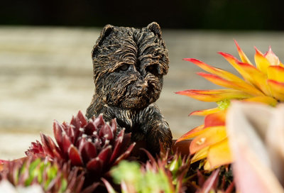Jardinopia Antique Bronze Coloured West Highland Terrier Pot Buddy Plant Pot Hanger from B&Q