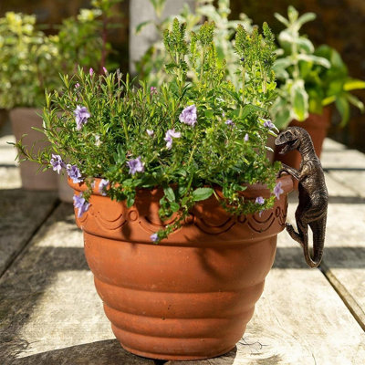 Jardinopia Pot Buddies Plant Pot OrnamentDinosaurVelociraptor from B&Q