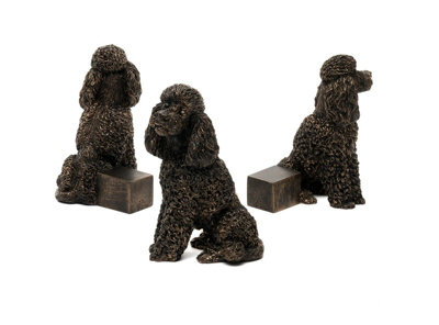 Jardinopia Poodle Plant Pot FeetSet Of 3L8 X W4.5 X H9.5 Cm from B&Q