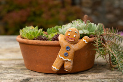  - Pot Buddies Christmas Gingerbread Man Plant Pot Hanger