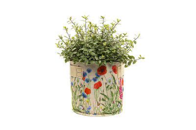 B&Q -  Iona Buchanan Meadow Fabric Eco 23L PotsL45 X W45 X H27 CmCream