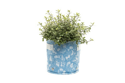 B&Q -  Beatrix Potter Fabric Eco 9L PotsL34 X W34 X H23 CmBlue
