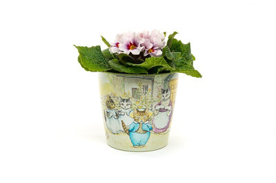 B&Q -  Beatrix Potter Peter Rabbit Eco Pots Set 2L13 X W13 X H12.5 Cm