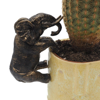 Jardinopia Pot Buddies Plant Pot OrnamentElephant from B&Q