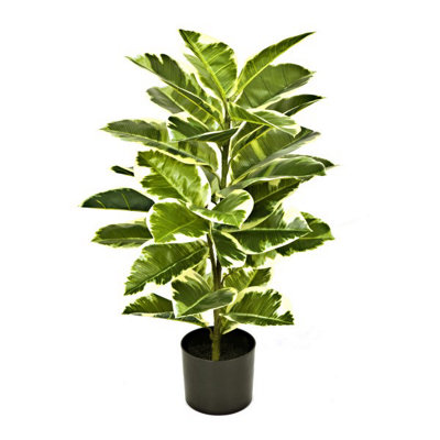 Greenbrokers Dark/Green/Light Brokers Artificial Real Touch Rubber Plant In Pot 75Cm