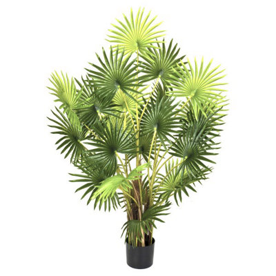 GreenBrokers Artificial Finger Fan Palm Tree In Pot 4Ft/120Cm from B&Q