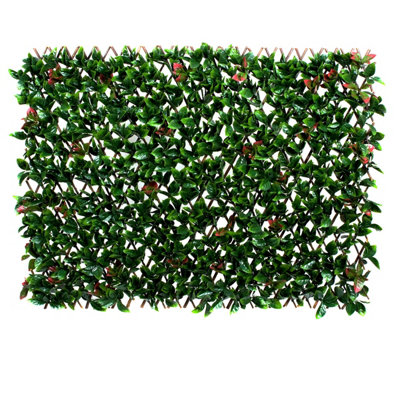 Greenbrokers Expanding Green & Red Foliage Willow Trellis (1M X 2) from B&Q