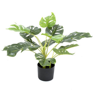 GreenBrokers Artificial Tropical Monstera Tree In Black Pot 55Cm