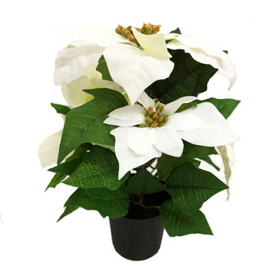 B&Q -  Artificial White Poinsettia Christmas Plant In Pot 36Cm