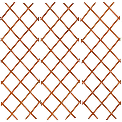 5Ft 3Pcs  Expandable Garden Wooden Trellis Fence from B&Q