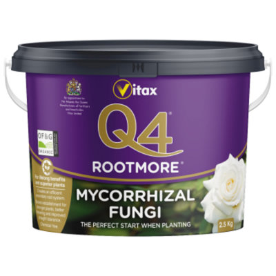 Vitax Q4 Rootmore Mycorrhizal Fungi 2.5Kg Organic Root Stimulant With Seaweed And Biostimulants For Roses Shrubs And Edibles from B&Q