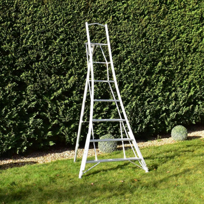 Trade Master 2.4M-Bps 3 Leg Tripod
