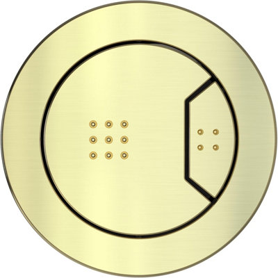 Excel Home Toilet Flush Button Brushed BrassDual Flush Button For Pneumatic Cistern OnlyRound 63mm from B&Q
