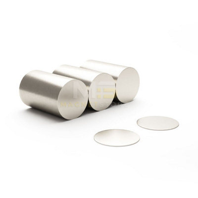 Magnet Store 10Mm X 1Mm Neodymium Disc Magnet N42 (0.56Kg Pull) - 1000 Magnet(S) 0.56Kg