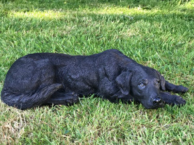 Animal Crackers Black Laying Labrador Figurine, (44Cm Long) Realistic Home Or Garden Ornament Or Memorial Large B&Q