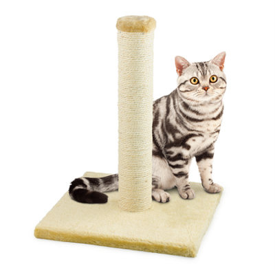 Kct Small Scratching Post For Indoor Cat Kitten Scratcher Scratch 40Cm Beige Pole With Natural Durable Sisal Heavy Duty Compact from B&Q