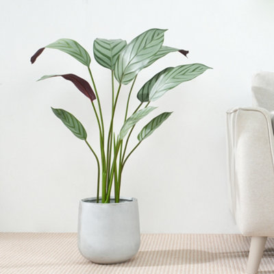 Mcc Direct Artificial Plant Bird Of Paradise Tree Indoor House Plant 90Cm